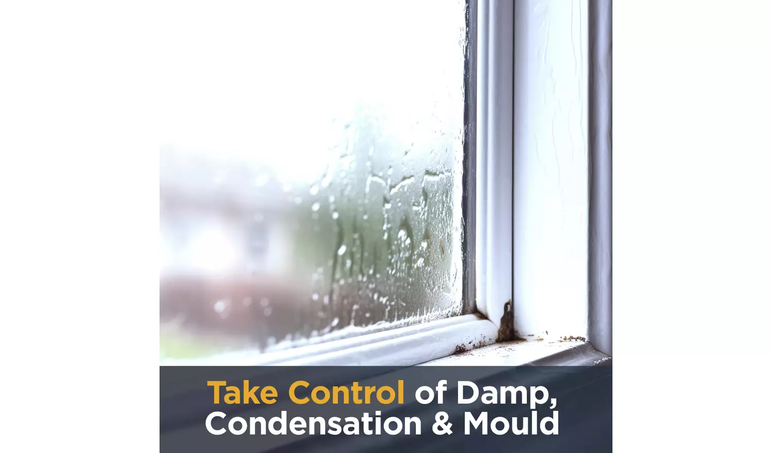 Ebac 4850 21 Litre Dehumidifier