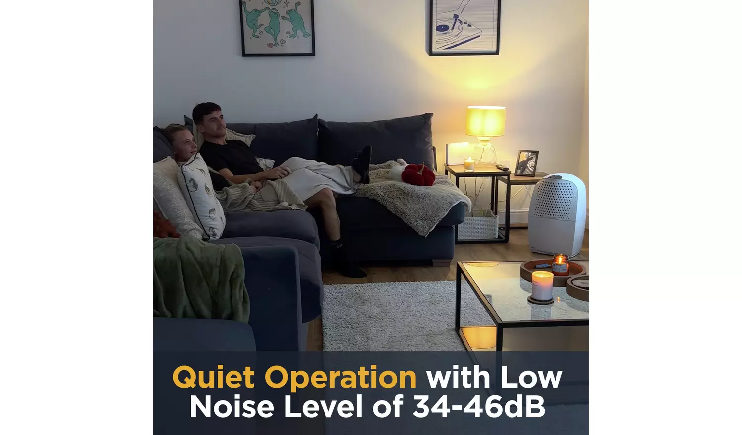 Ebac 4850 21 Litre Dehumidifier