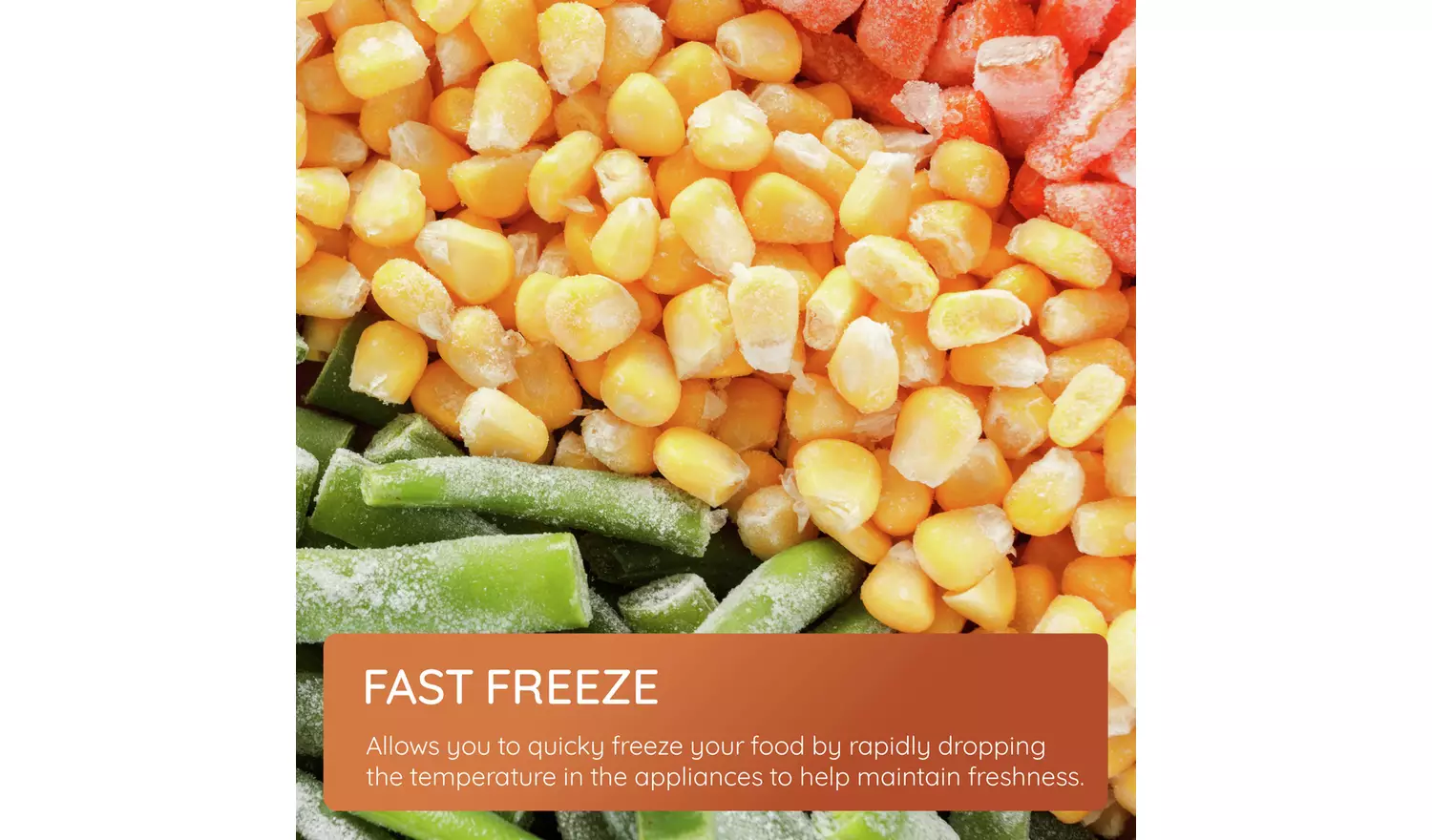 Hotpoint HTSD18F013H1 Integrated Tall Freezer - White