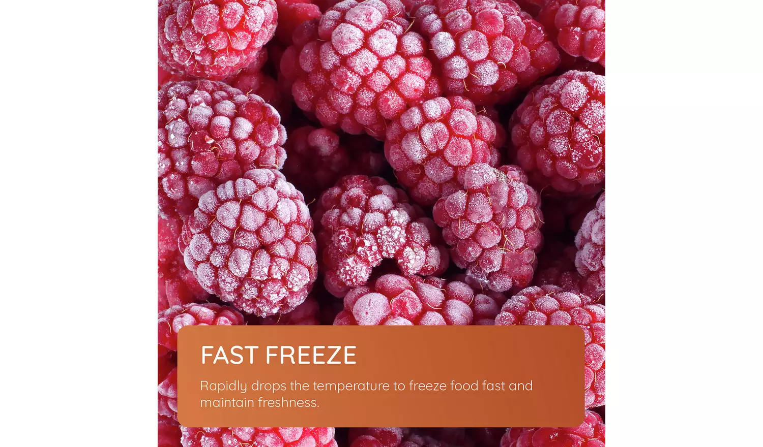 Hotpoint HTC18 T112 UK Fridge Freezer - White