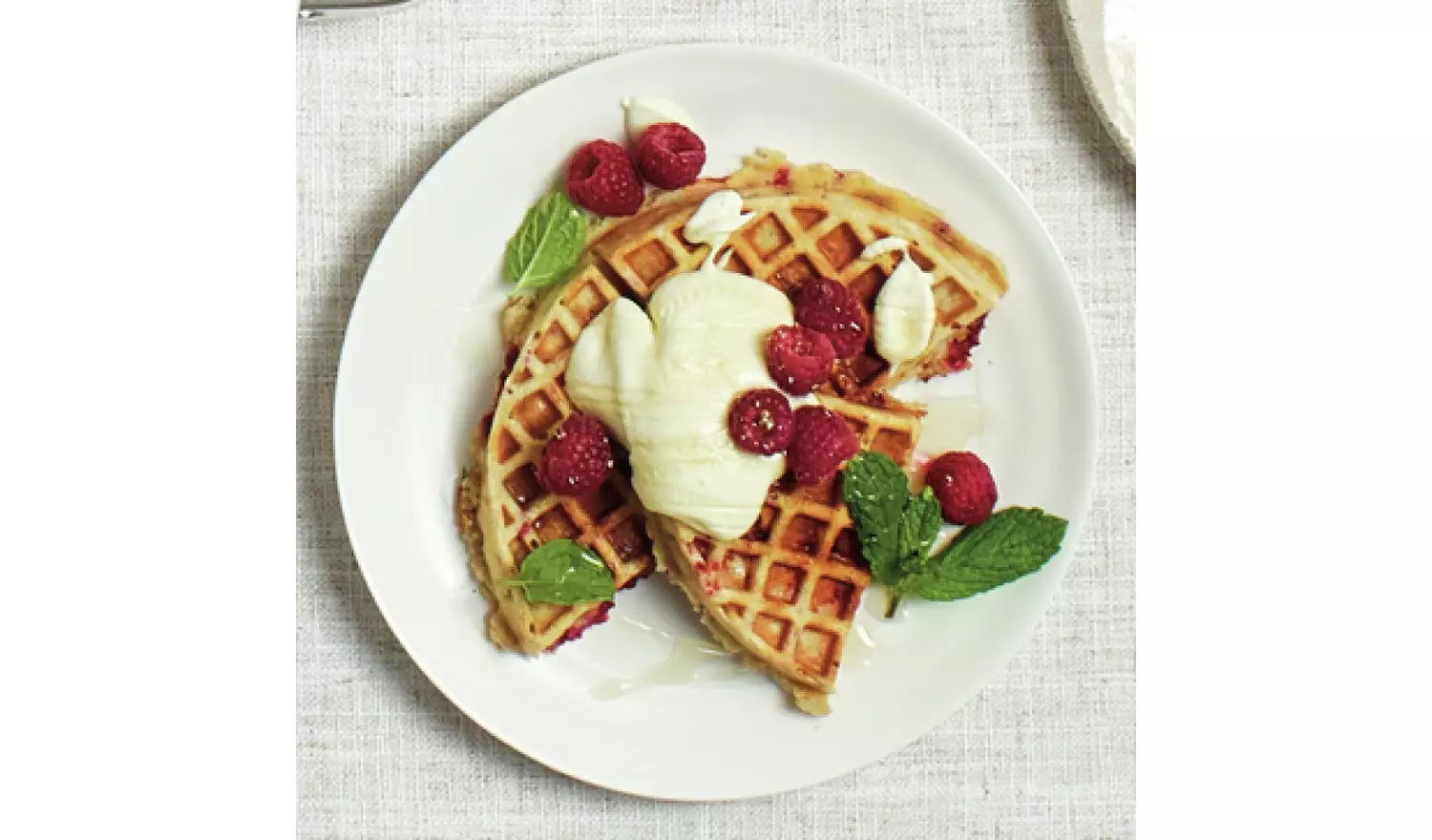 Sage The No Mess Waffle Maker