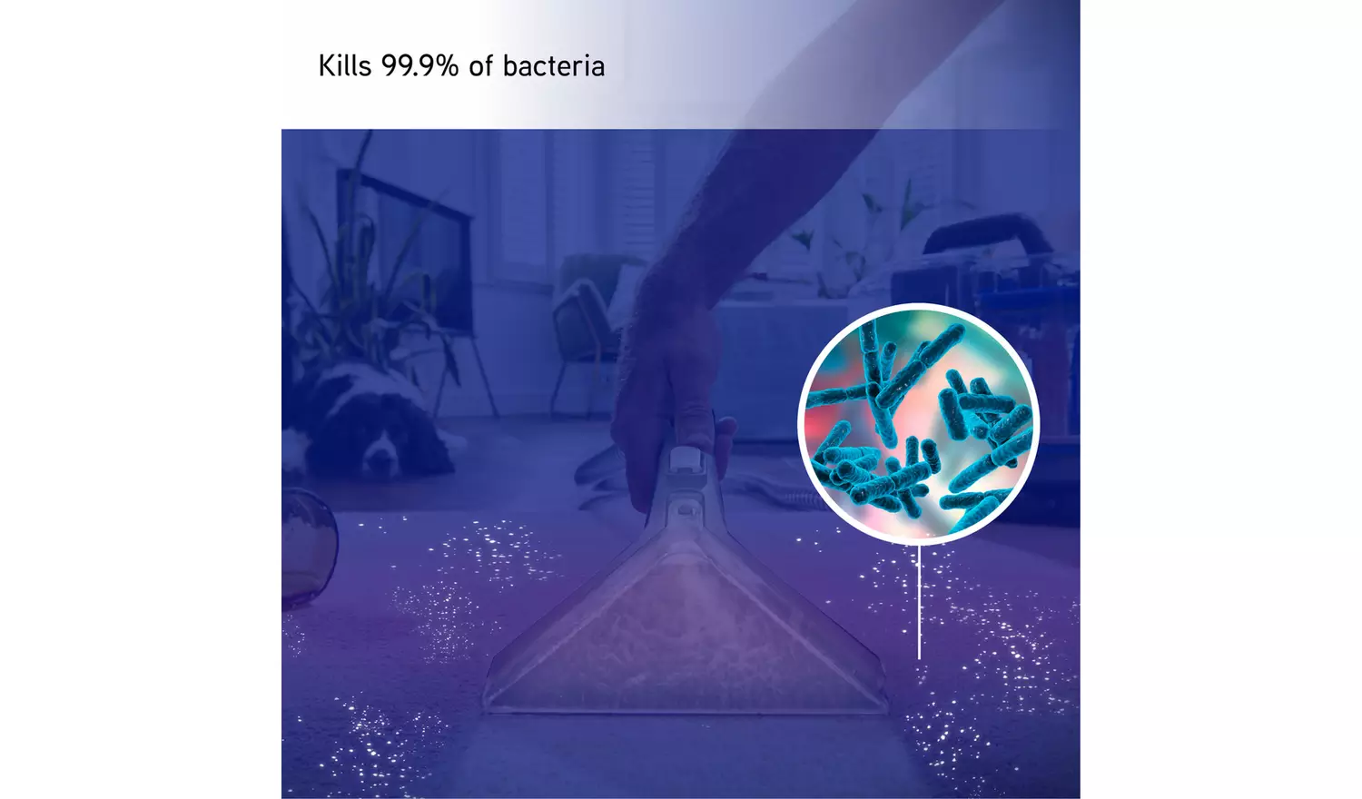 Vax SpotWash Antibacterial 1.5L Spot Cleaning Solution