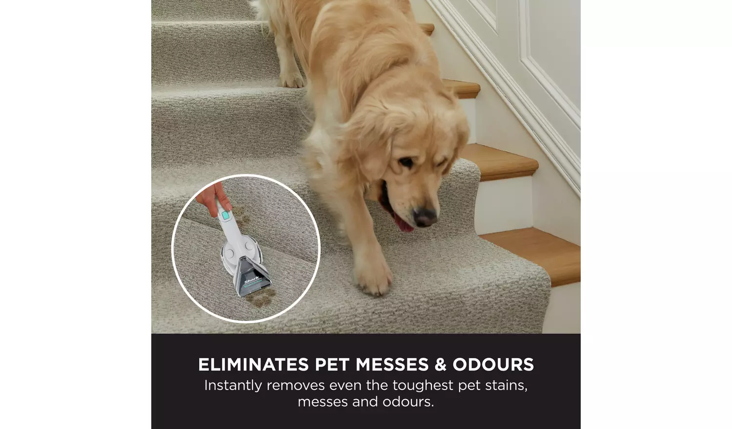 Shark StainStriker Pet Spot Carpet Cleaner