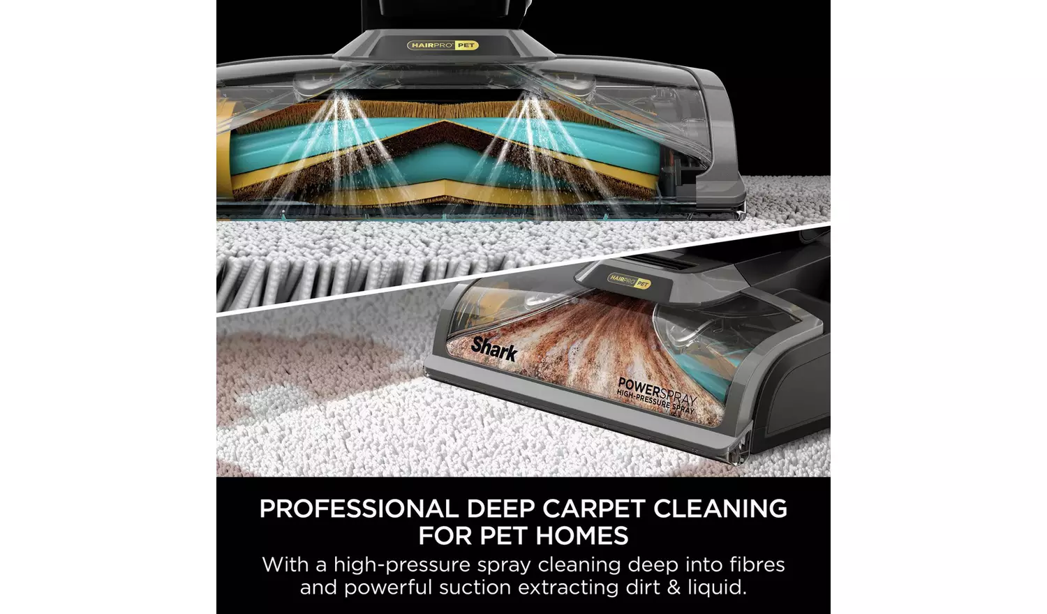Shark CarpetXpert HairPro Pet Corded Carpet Cleaner