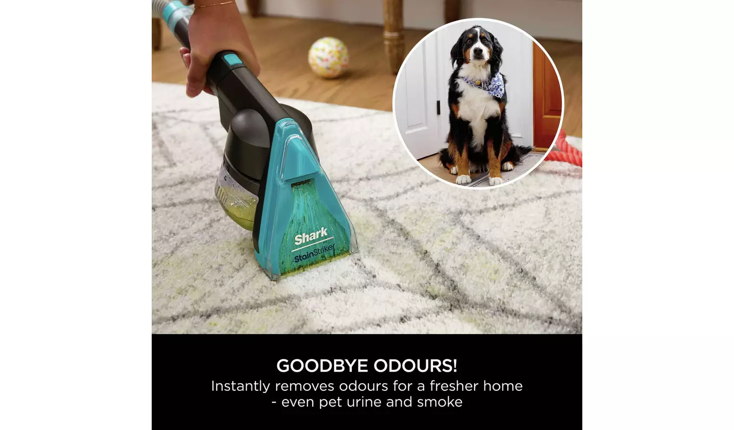 Shark CarpetXpert HairPro Pet Corded Carpet Cleaner