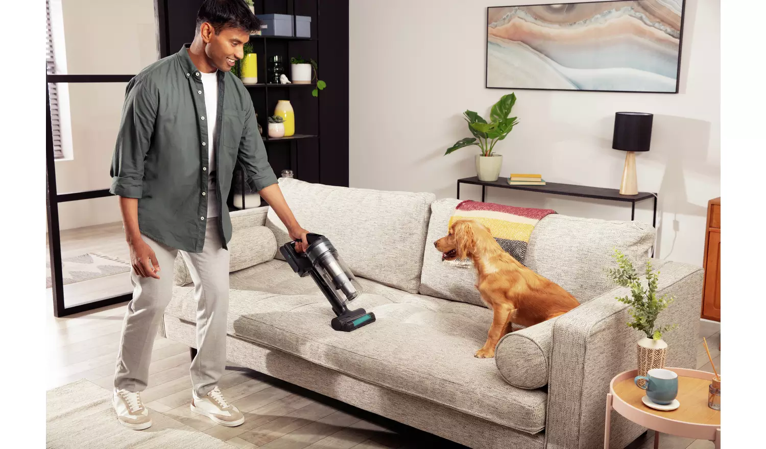 Samsung Jet 65 Pet Cordless Vacuum Cleaner