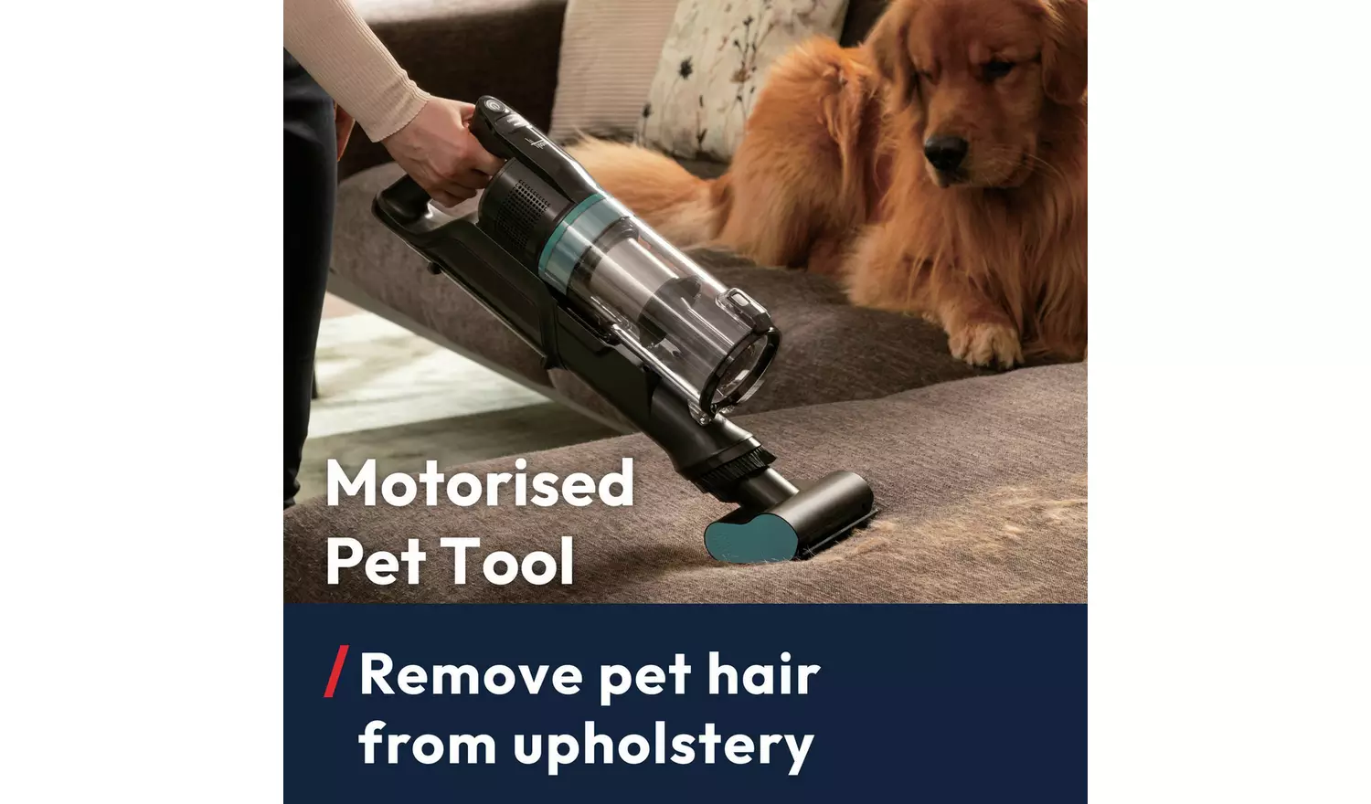 Hoover HF1+ Anti-Hairwrap Pet Cordless Vacuum Cleaner