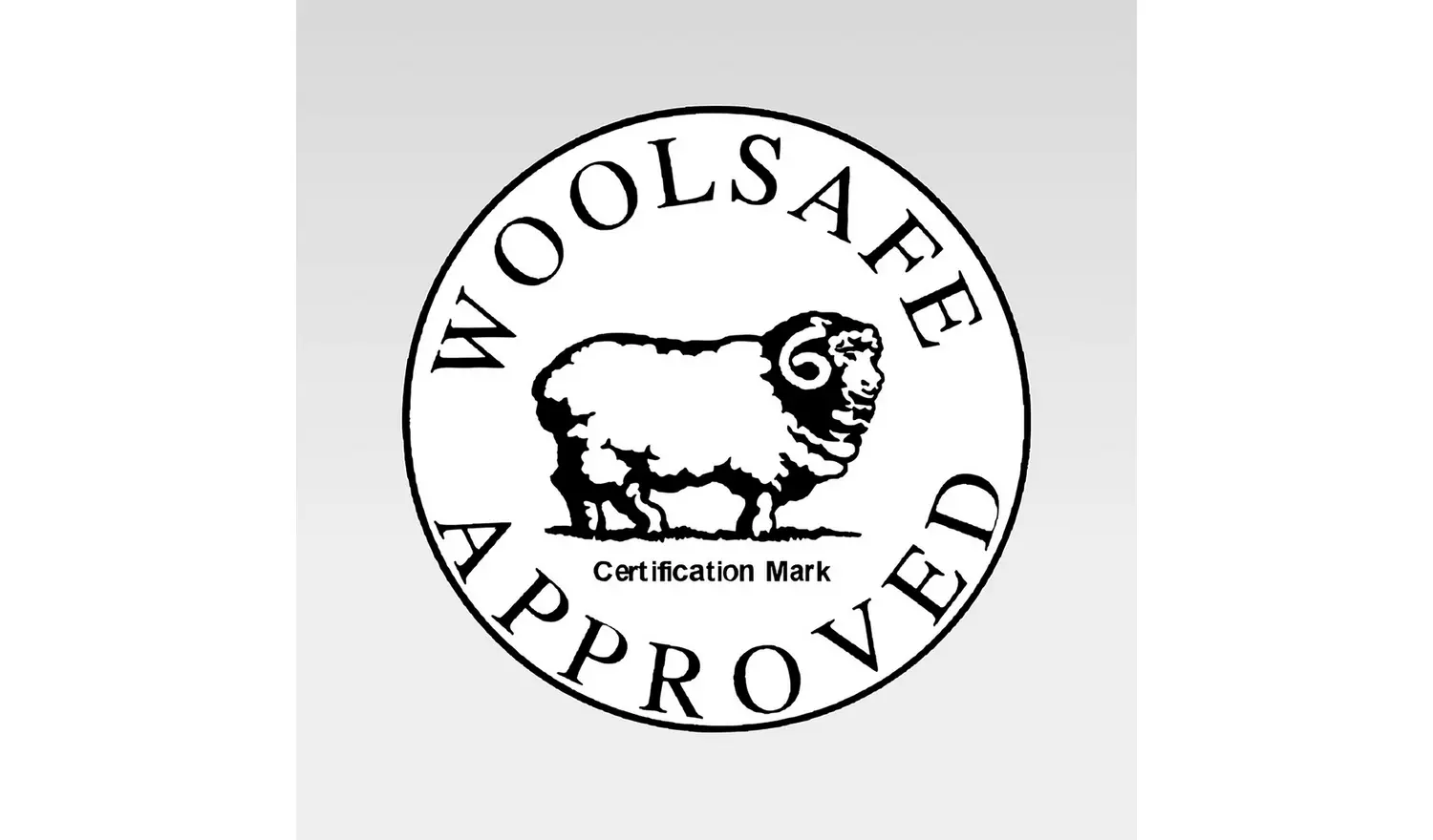 Vax Platinum 4L Antibacterial Carpet Cleaning Solution