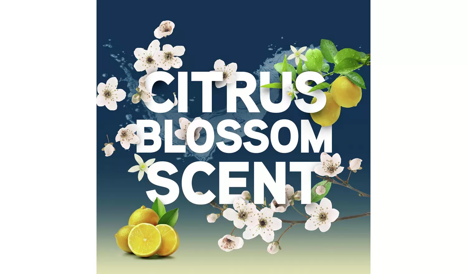 Vax Platinum 4L Antibacterial Carpet Cleaning Solution