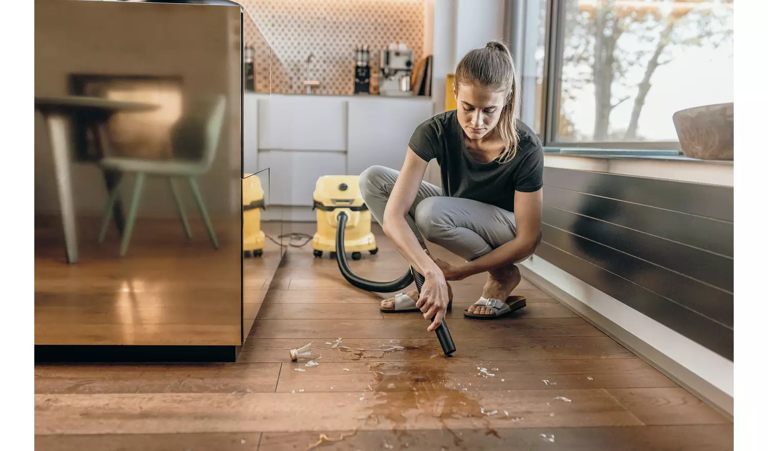 Karcher WD 2 Plus Wet & Dry Vacuum Cleaner