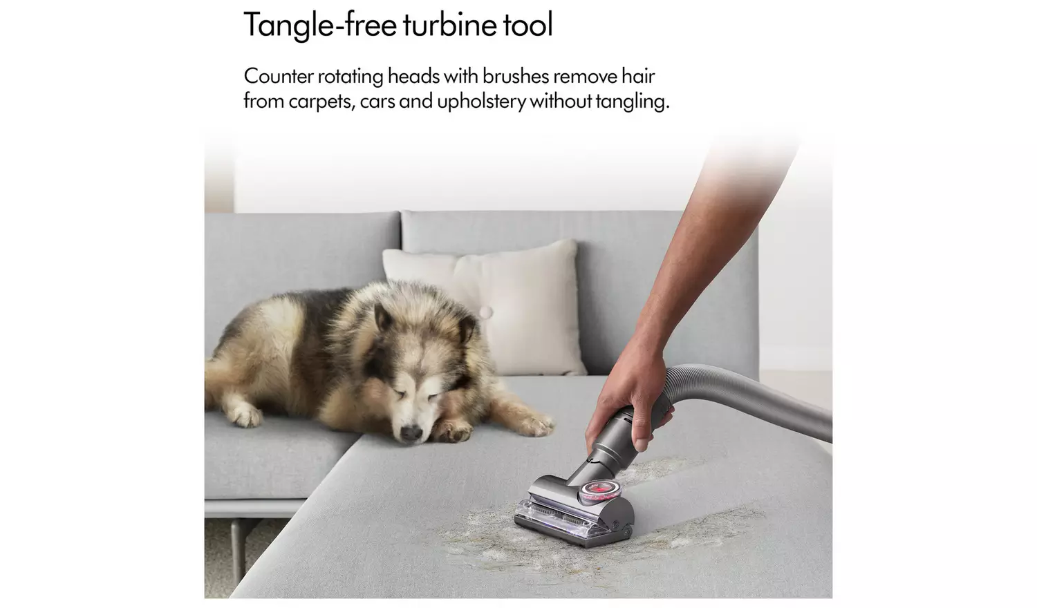 Dyson Ball Animal Multifloor Corded Upright Vacuum Cleaner