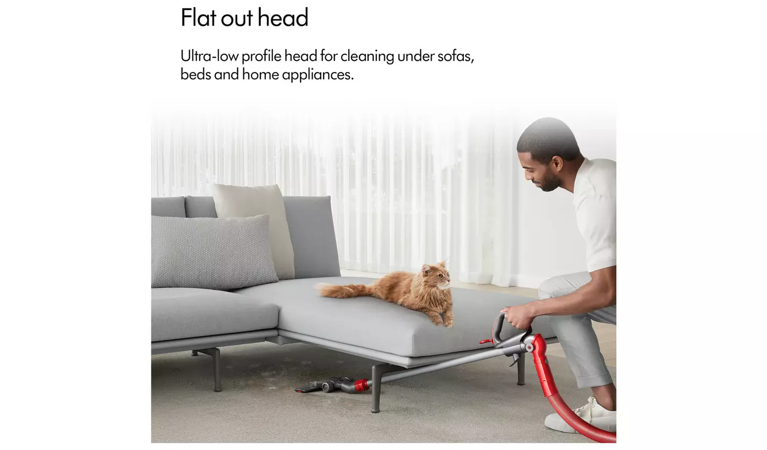 Dyson Ball Animal Multifloor Corded Upright Vacuum Cleaner