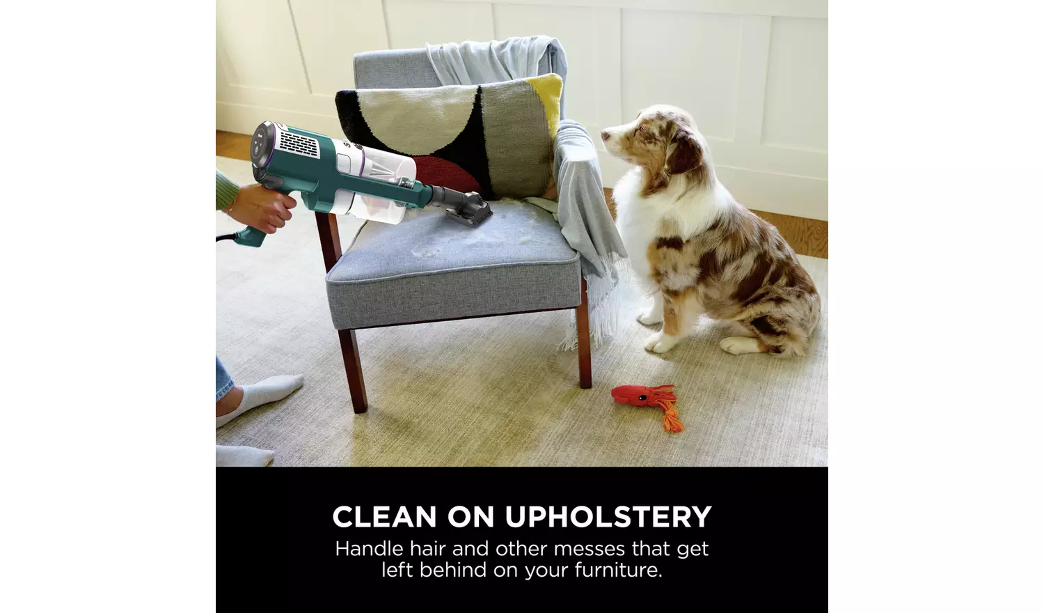 Shark PowerDetect Bagless Upright Corded Vacuum Cleaner