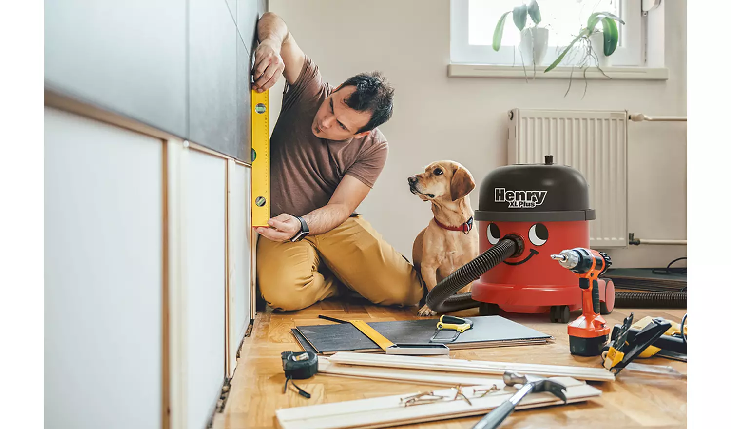 Henry XL Plus Corded Bagged Cylinder Vacuum Cleaner