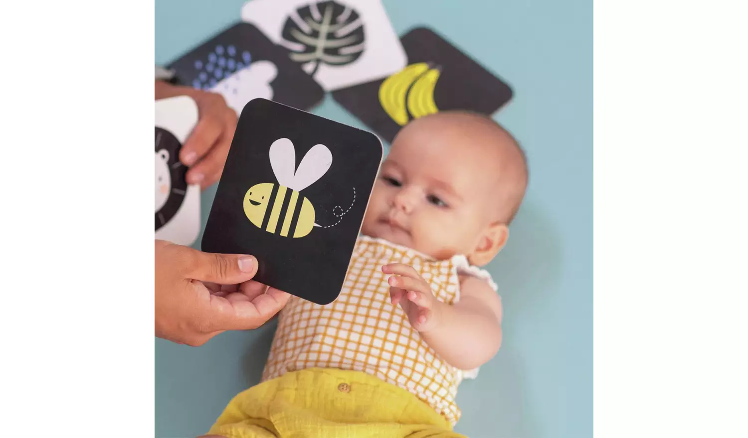 Taf Toys My First Tummy Time Cards