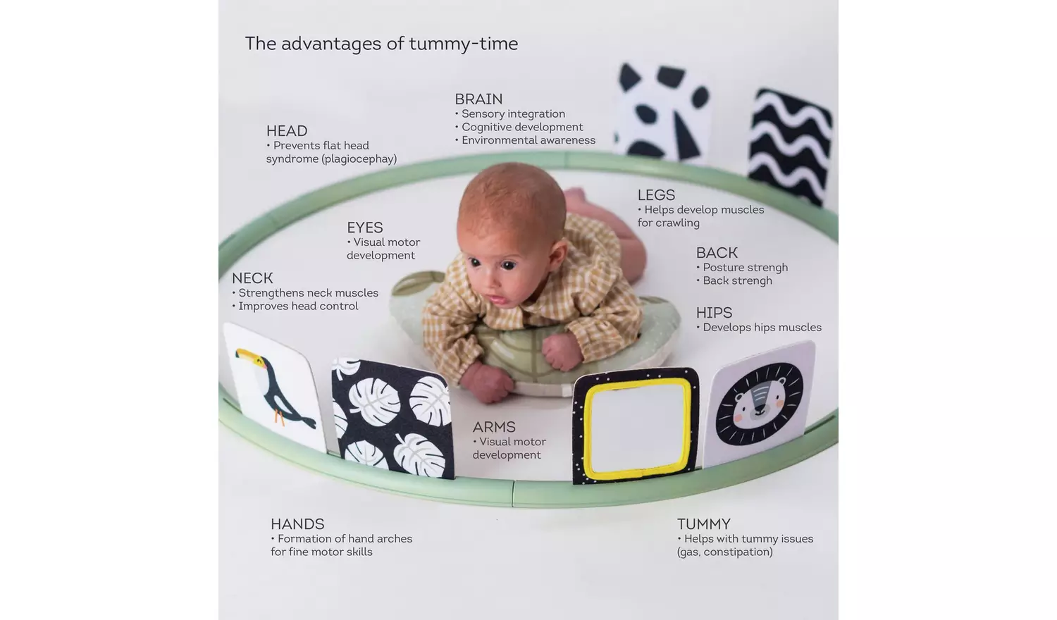 Taf Toys Tummy Time Trainer Playmats