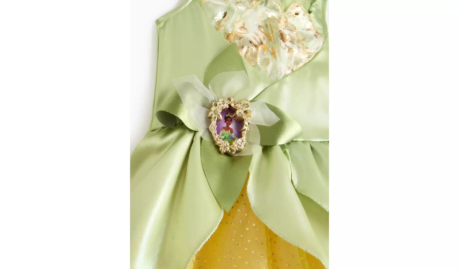 Disney Princess Tiana Fancy Dress Costume3-4 Years