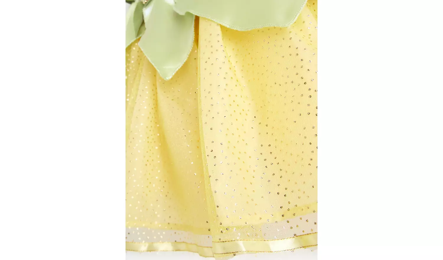 Disney Princess Tiana Fancy Dress Costume5-6 years