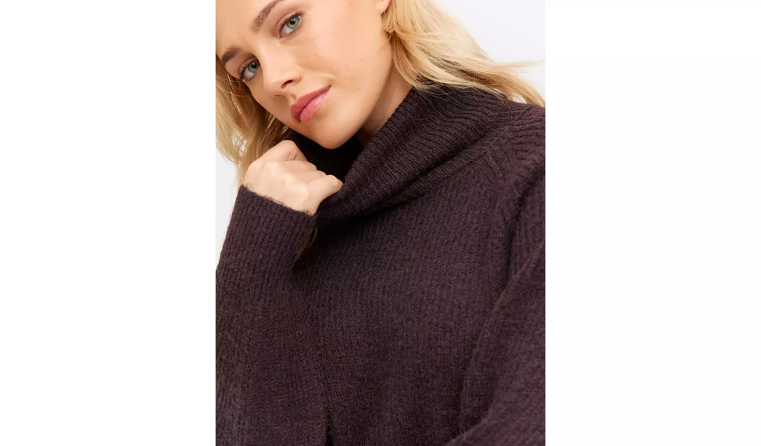 Brown Roll Neck Raglan Sleeve Knitted Jumper 8