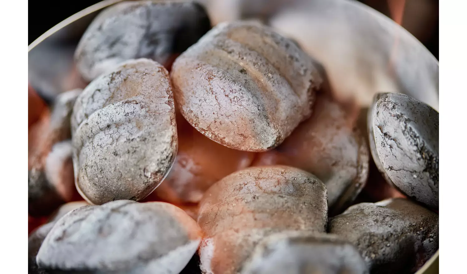 Weber Coconut Briquettes - 8KG