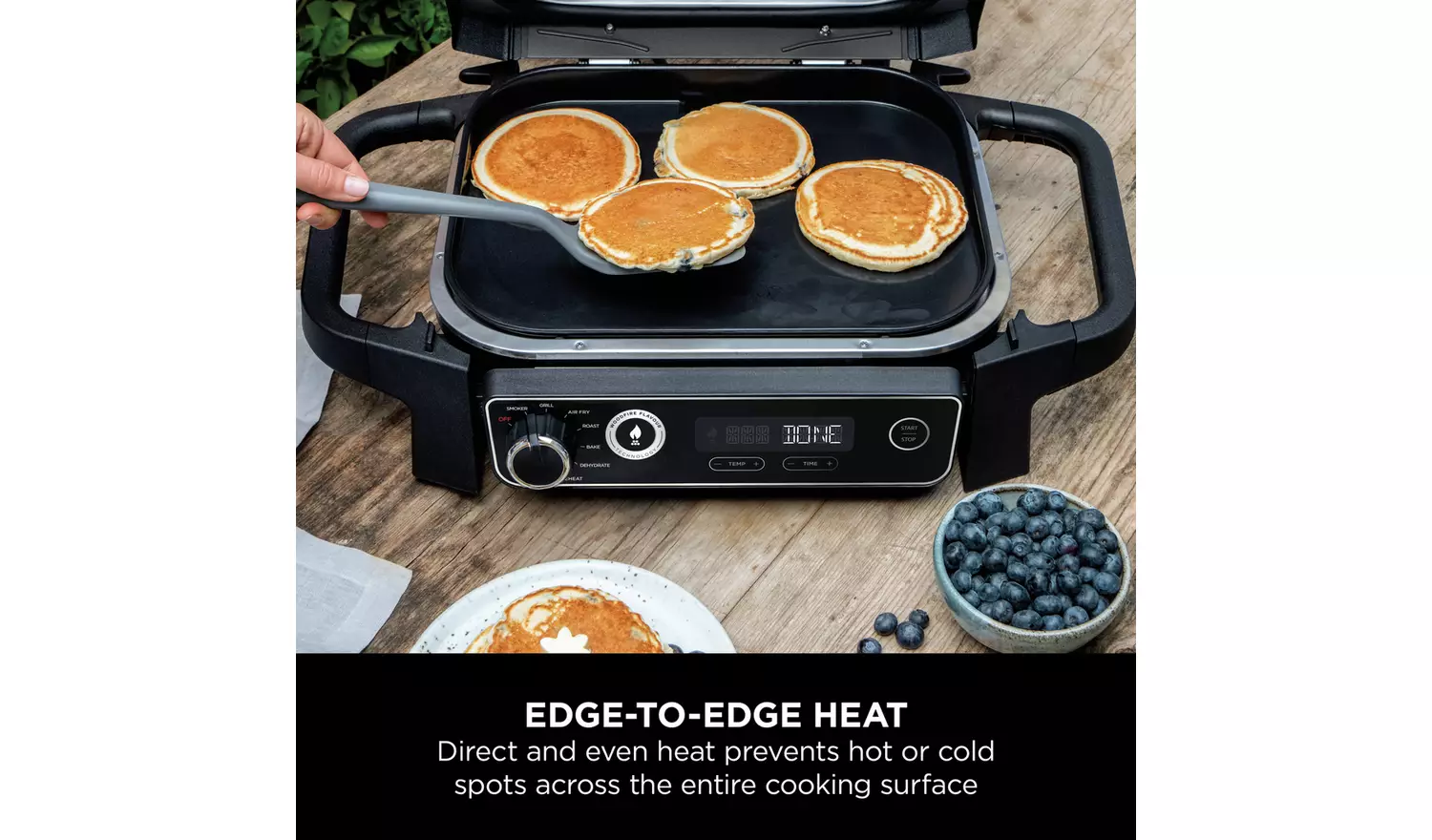 Ninja Woodfire Electric BBQ Flat Plate