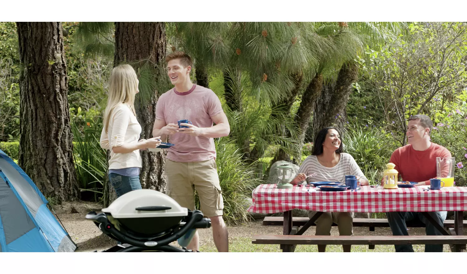 Weber Portable 1 Burner Gas BBQ