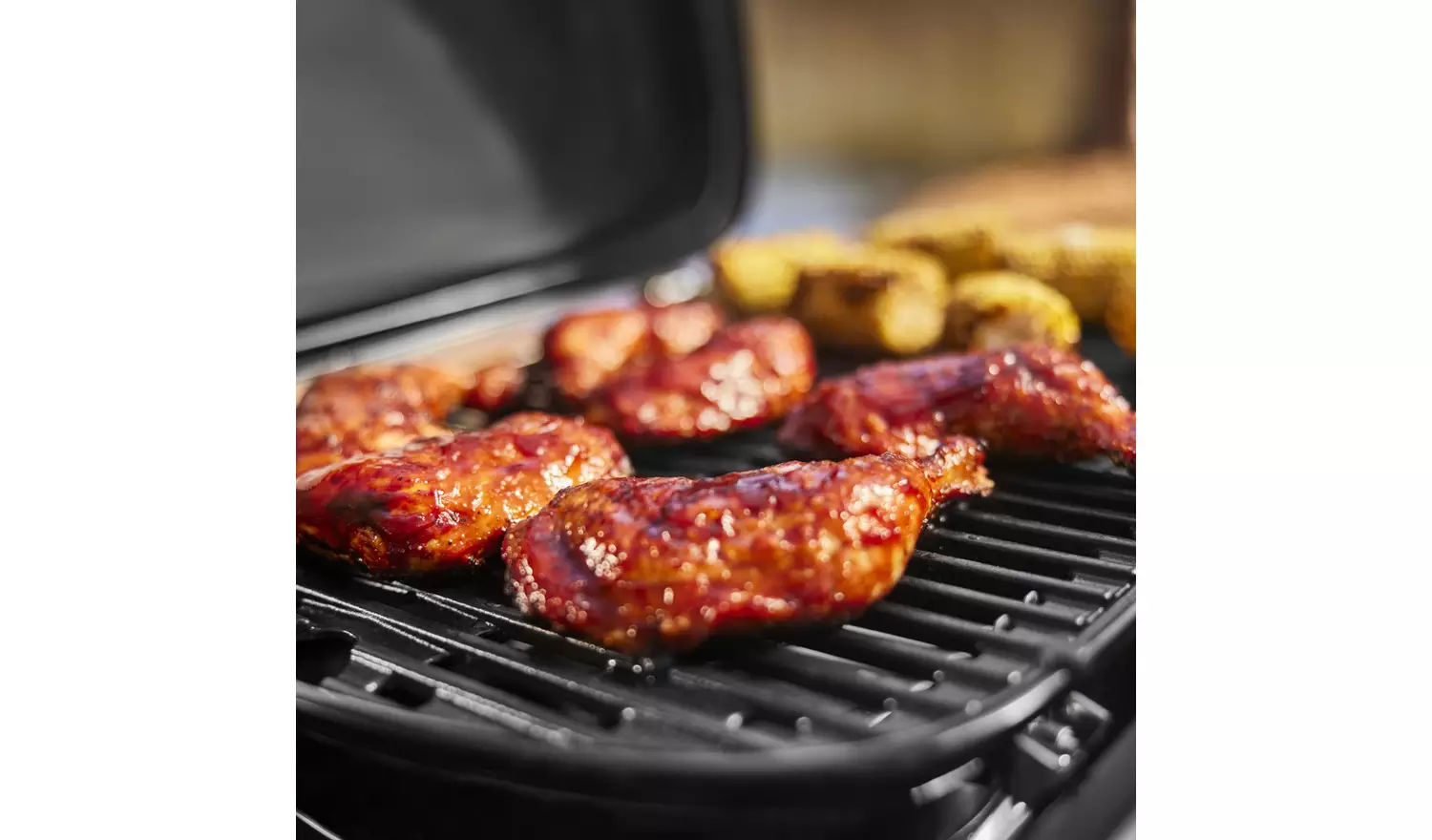 Weber Traveler Compact Portable Gas BBQ