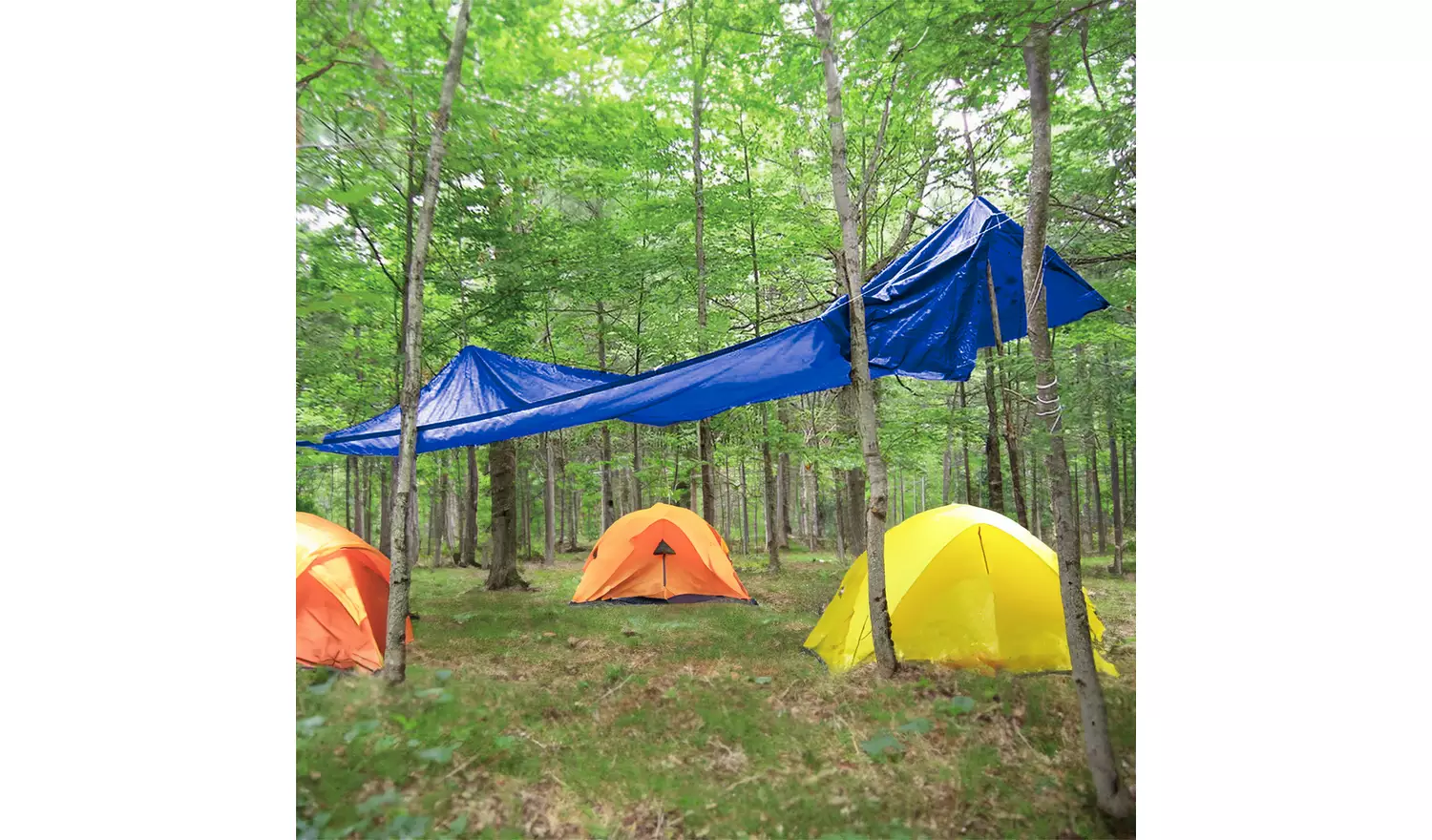 Streetwize Heavy Duty Waterproof Tarpaulin 4 x 6 Metre