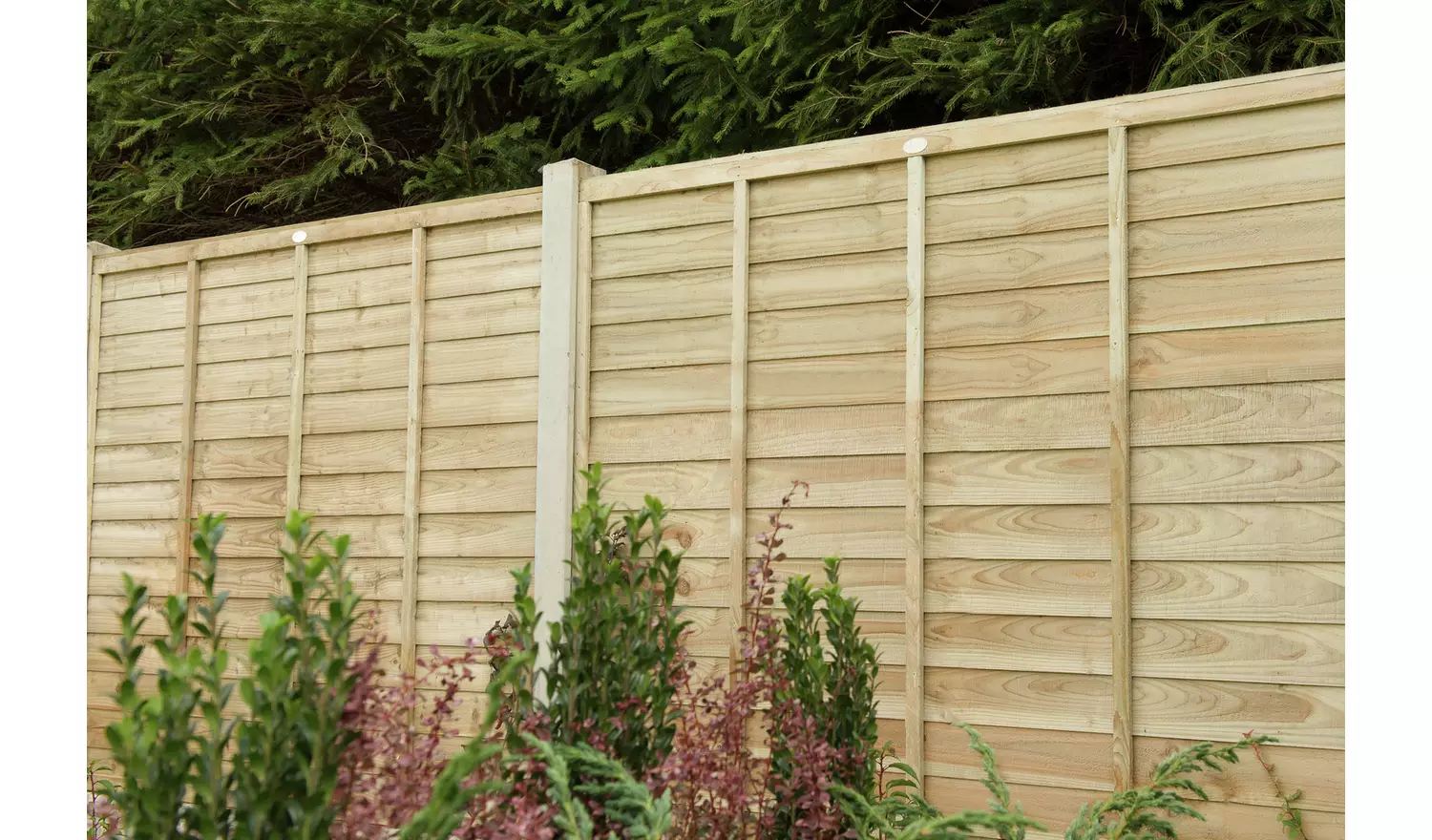 Forest 6ft Overlap Fence Panel - Pack of 5