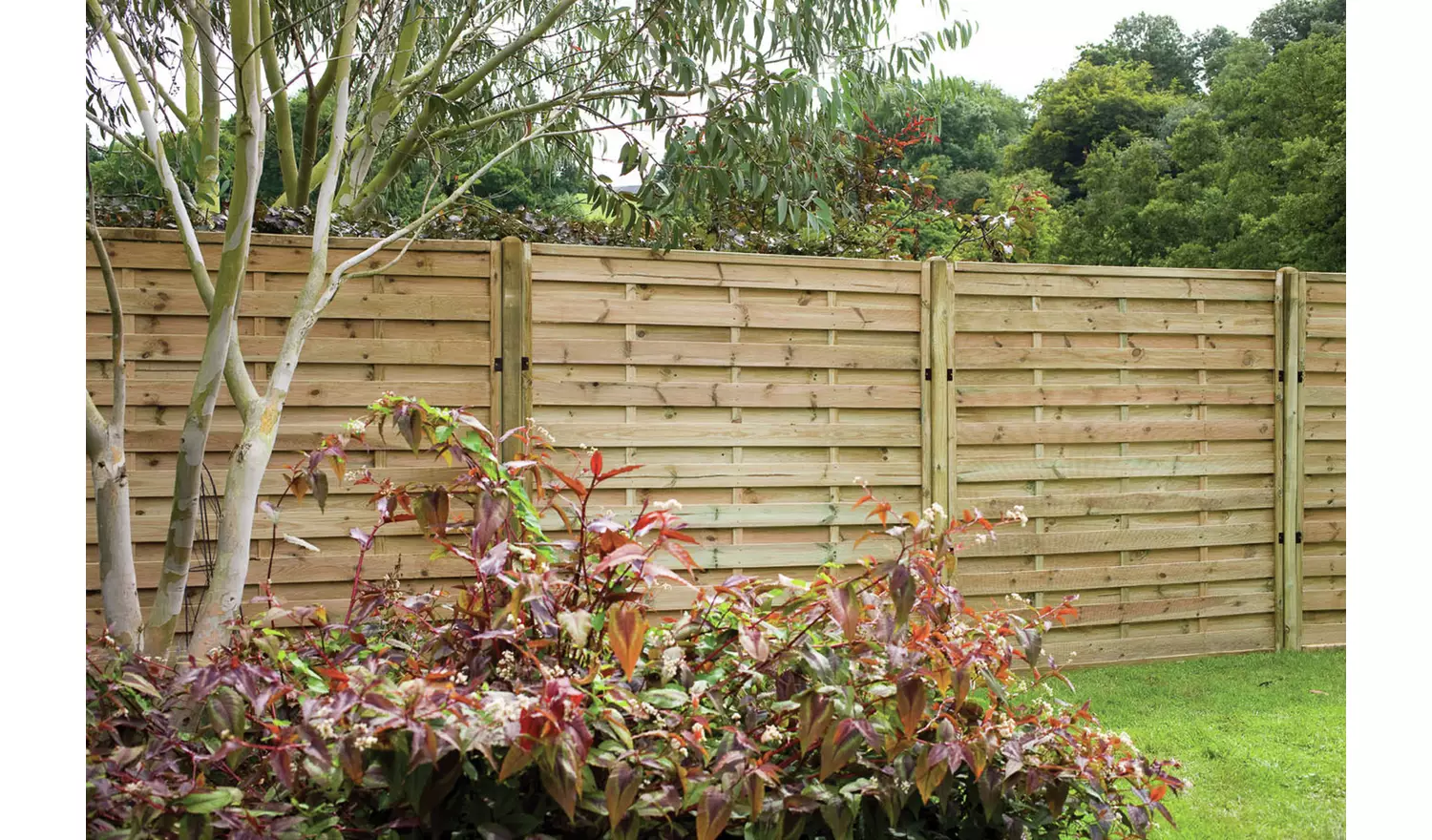 Forest 5ft 9 inches Europa Plain Panel - Pack of 3