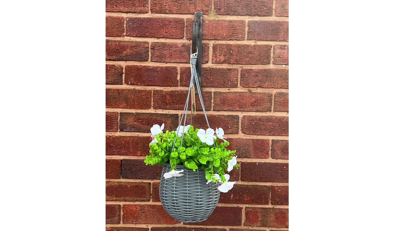 Garden XP Flower with Hanging Basket - Set of 2