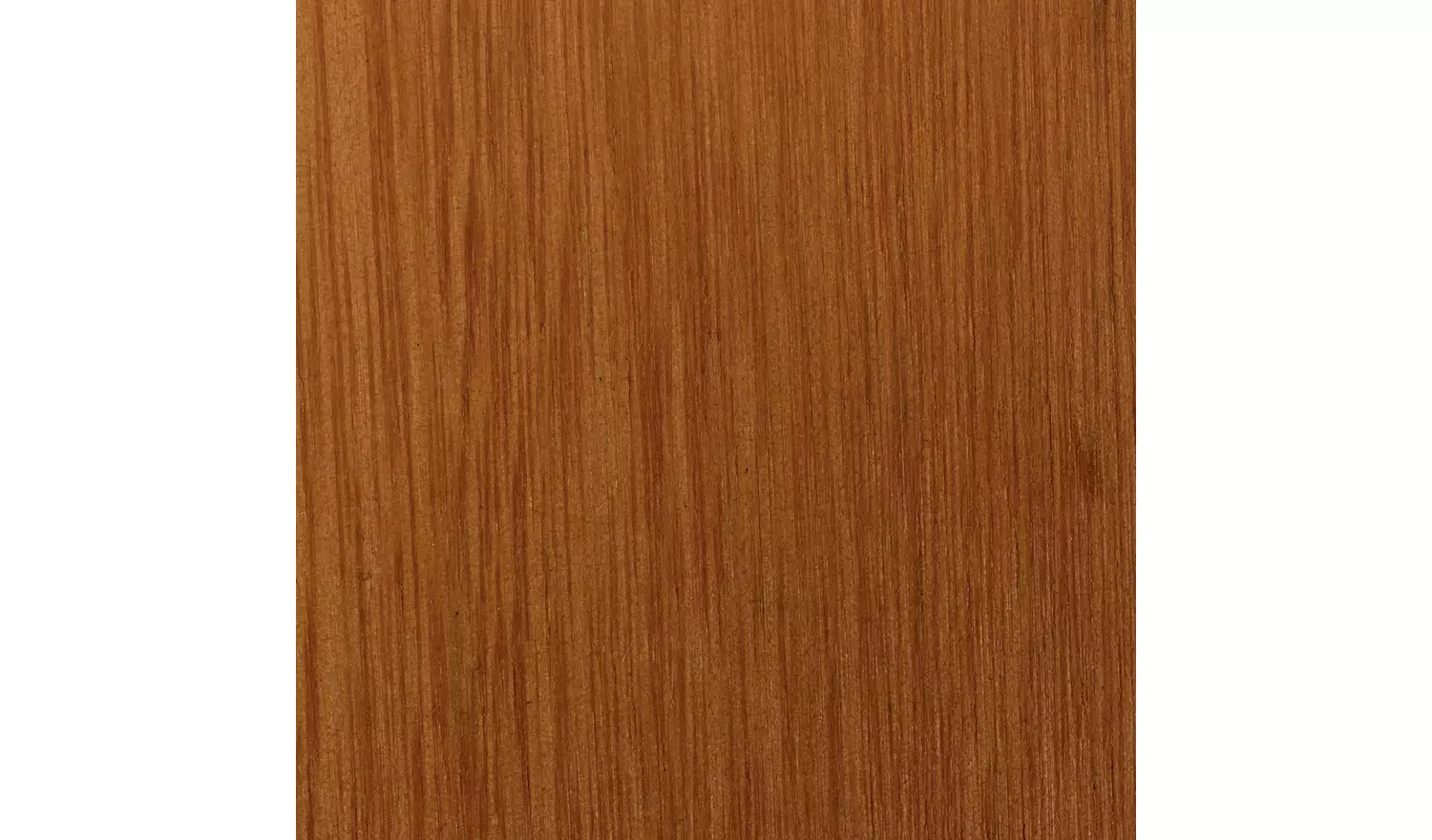 Habitat x Scion Folding Wooden Garden Director Chair-Kukkia