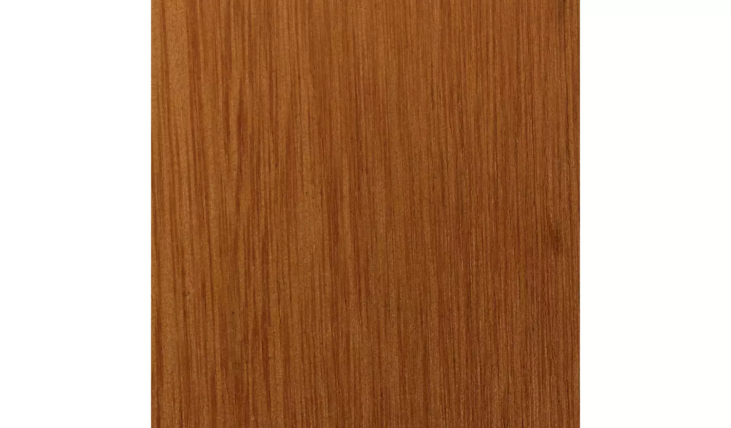 Habitat x Scion Folding Wooden Garden Deck Chair - Lintu