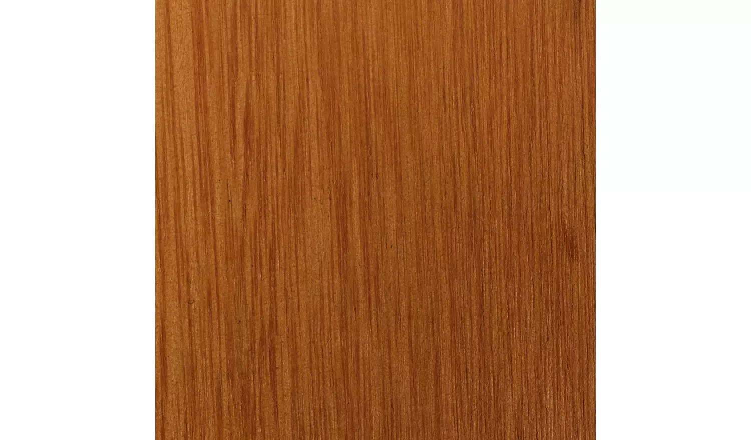 Habitat x Scion Folding Wooden Garden Deck Chair - Kukkia