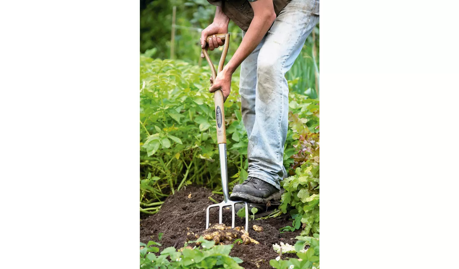Spear & Jackson Traditional Digging Fork