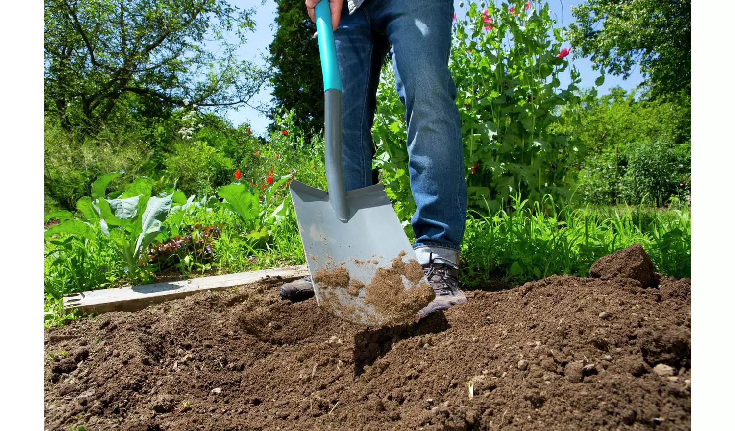 Gardena ClassicLine Border Spade