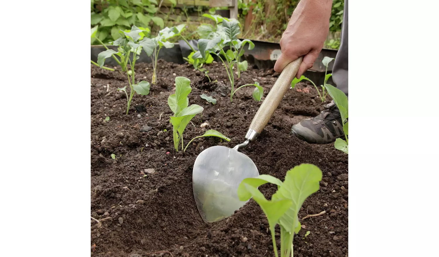 Spear and Jackson Traditional Stainless Dutch Trowel
