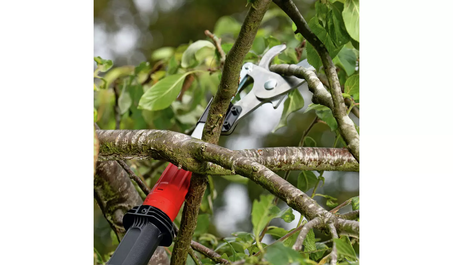 Bosch 120cm Advanced Pruner
