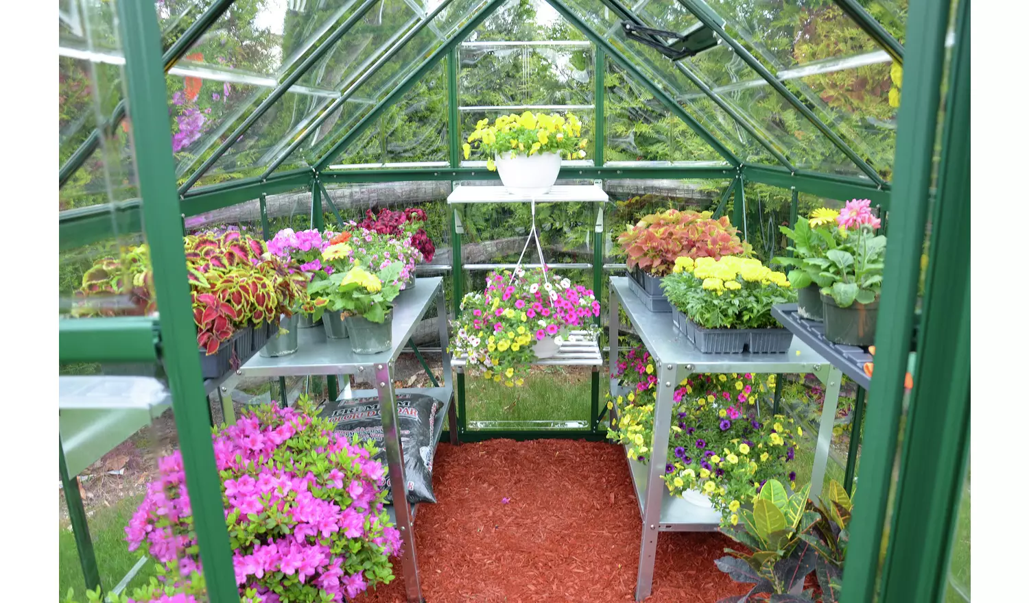 Palram - Canopia Harmony Green Greenhouse - 6 x 8ft