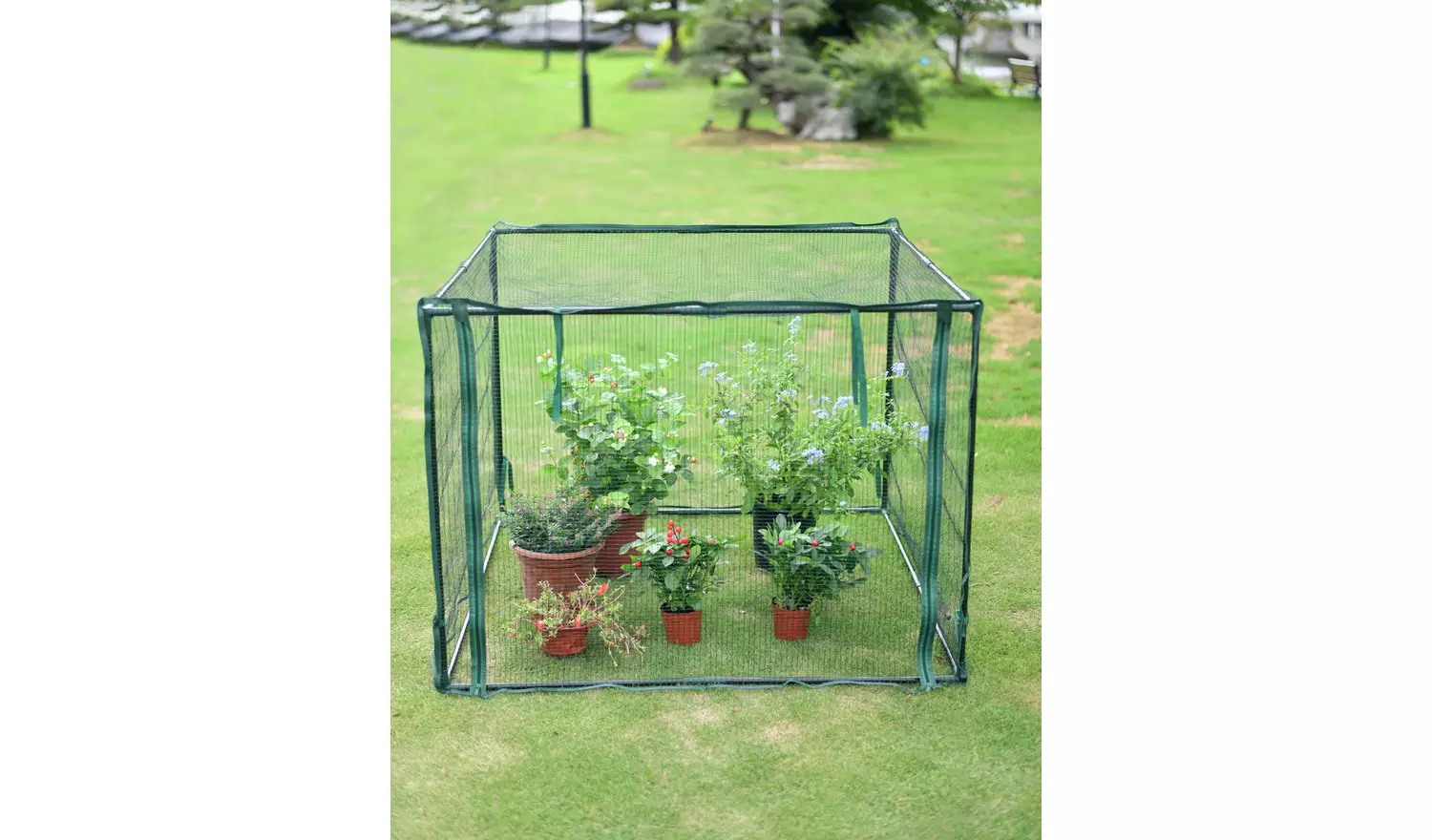 McGregor Garden Fruit Cage