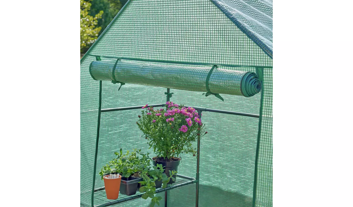 McGregor Walk In Greenhouse