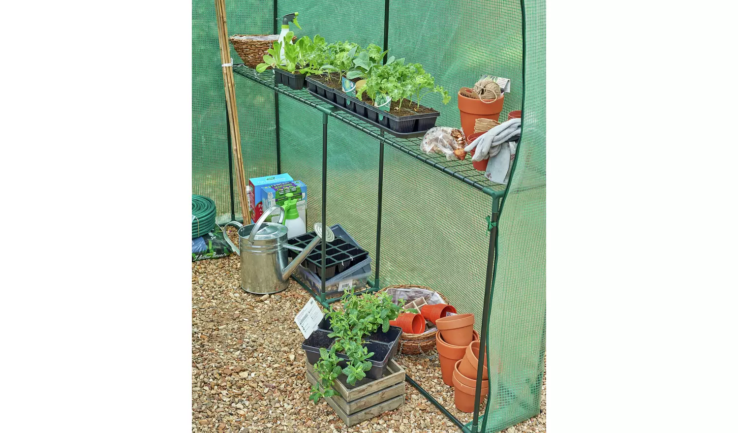 McGregor Large Walk In Greenhouse