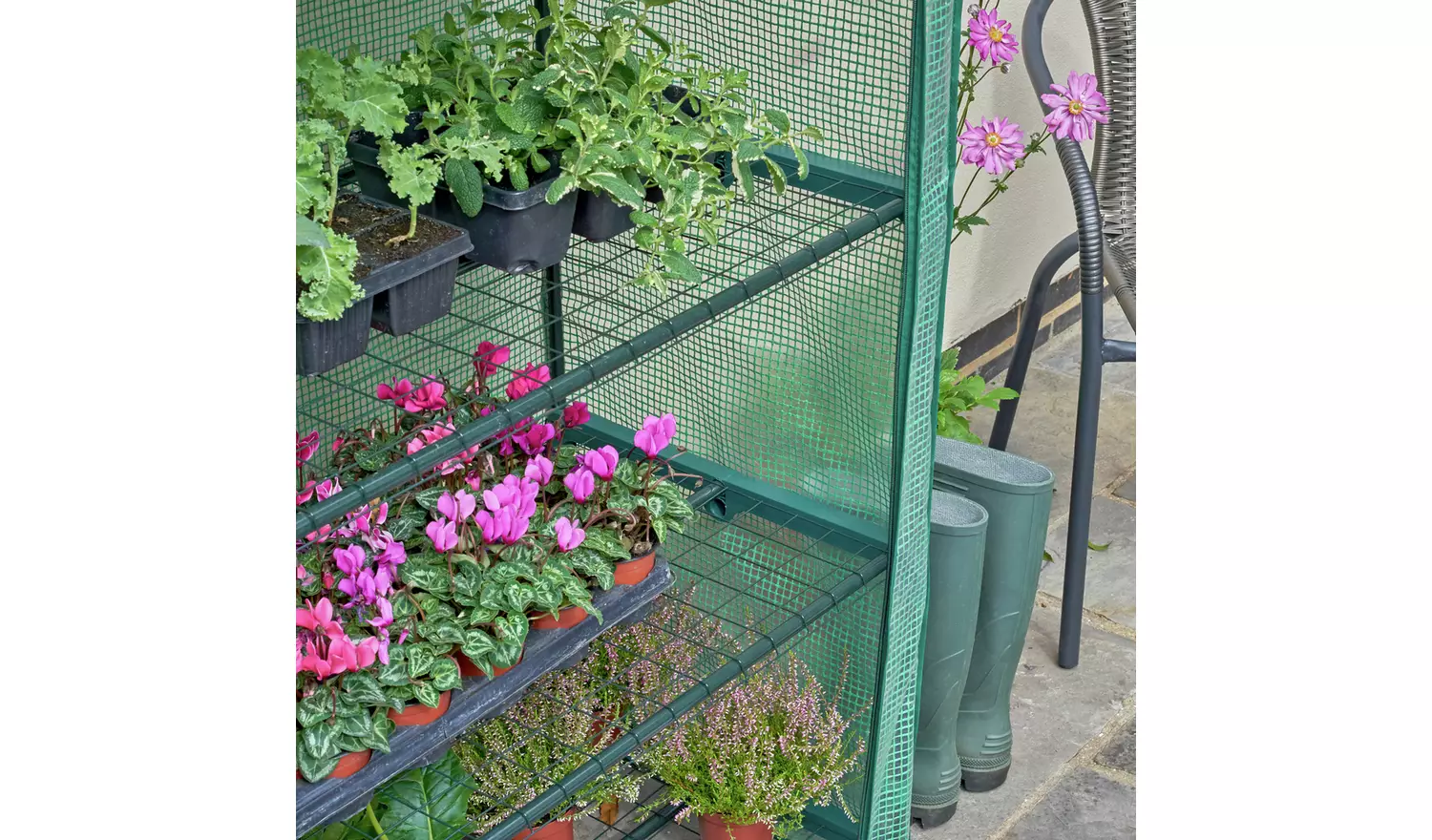 McGregor 4 Tier Mini Greenhouse