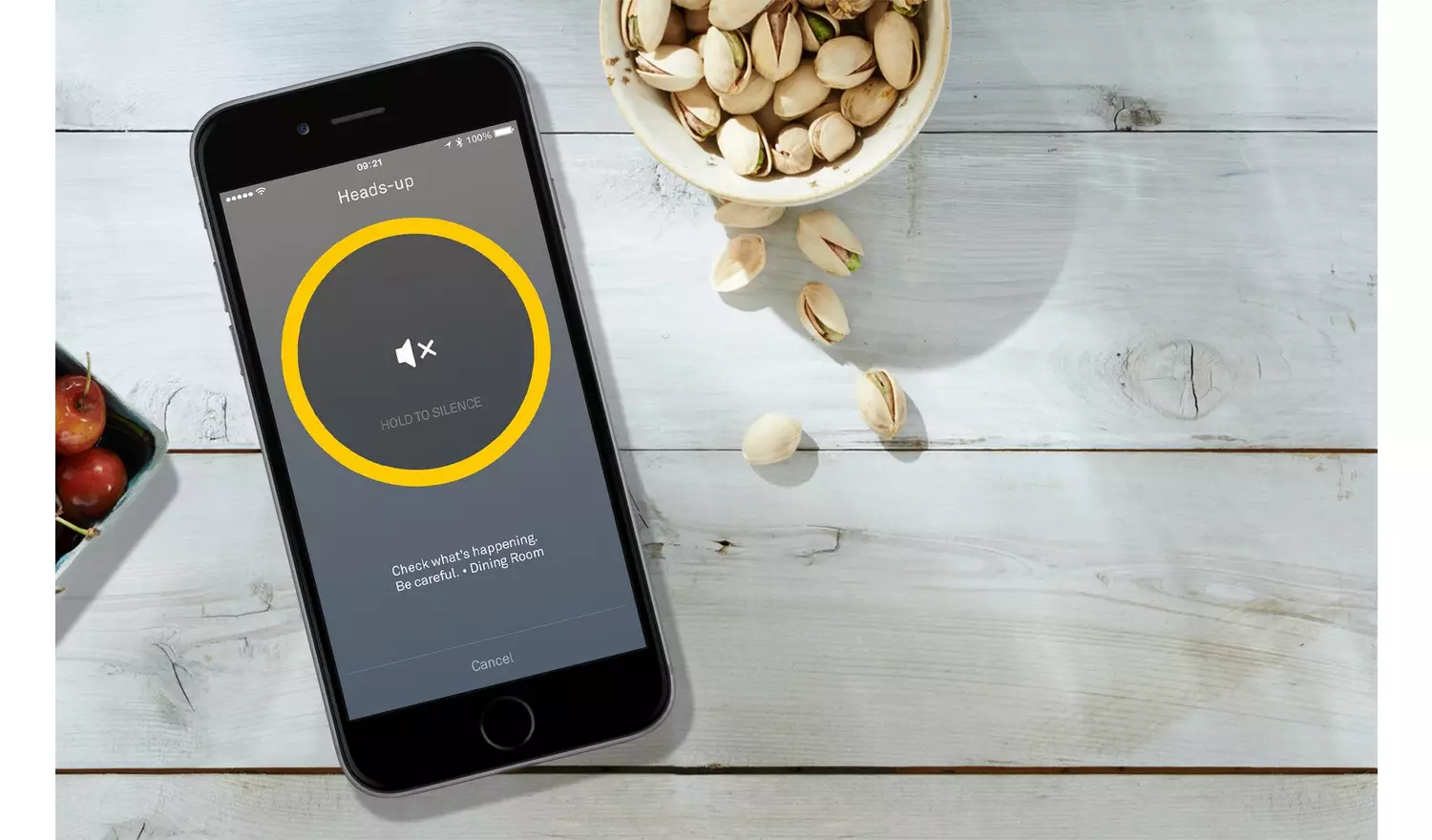 Google Nest Protect 2nd Gen Smoke and CO Detector