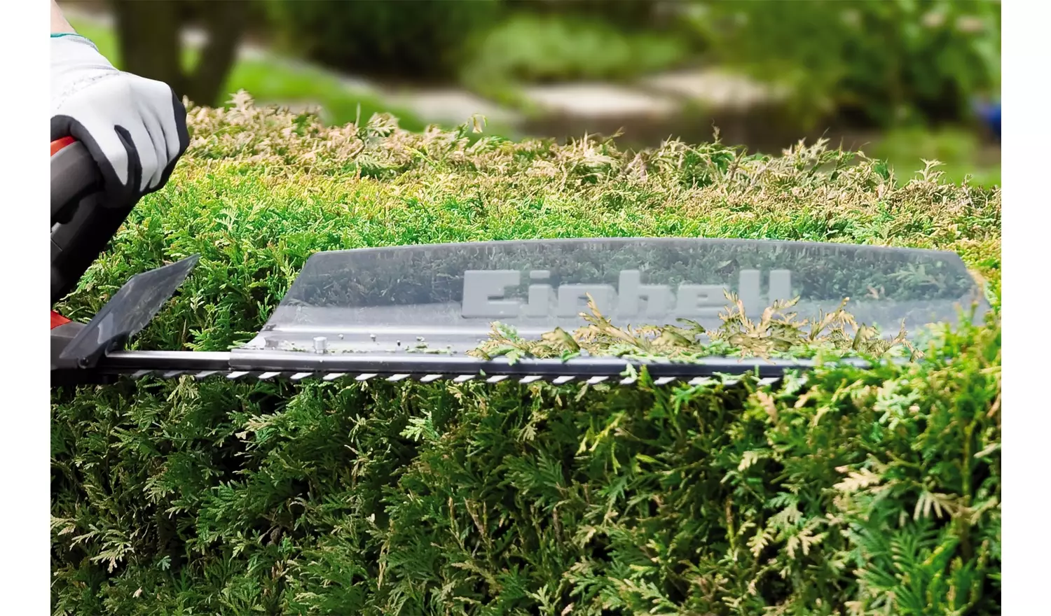 Einhell 62cm Cordless Hedge Trimmer - 18V