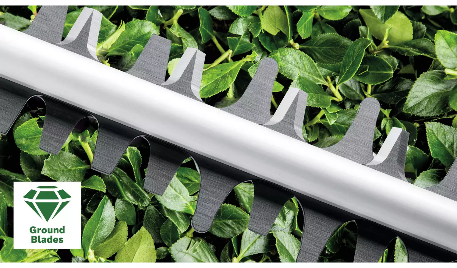 Bosch Advanced Hedge Cut 65 Hedge Trimmer