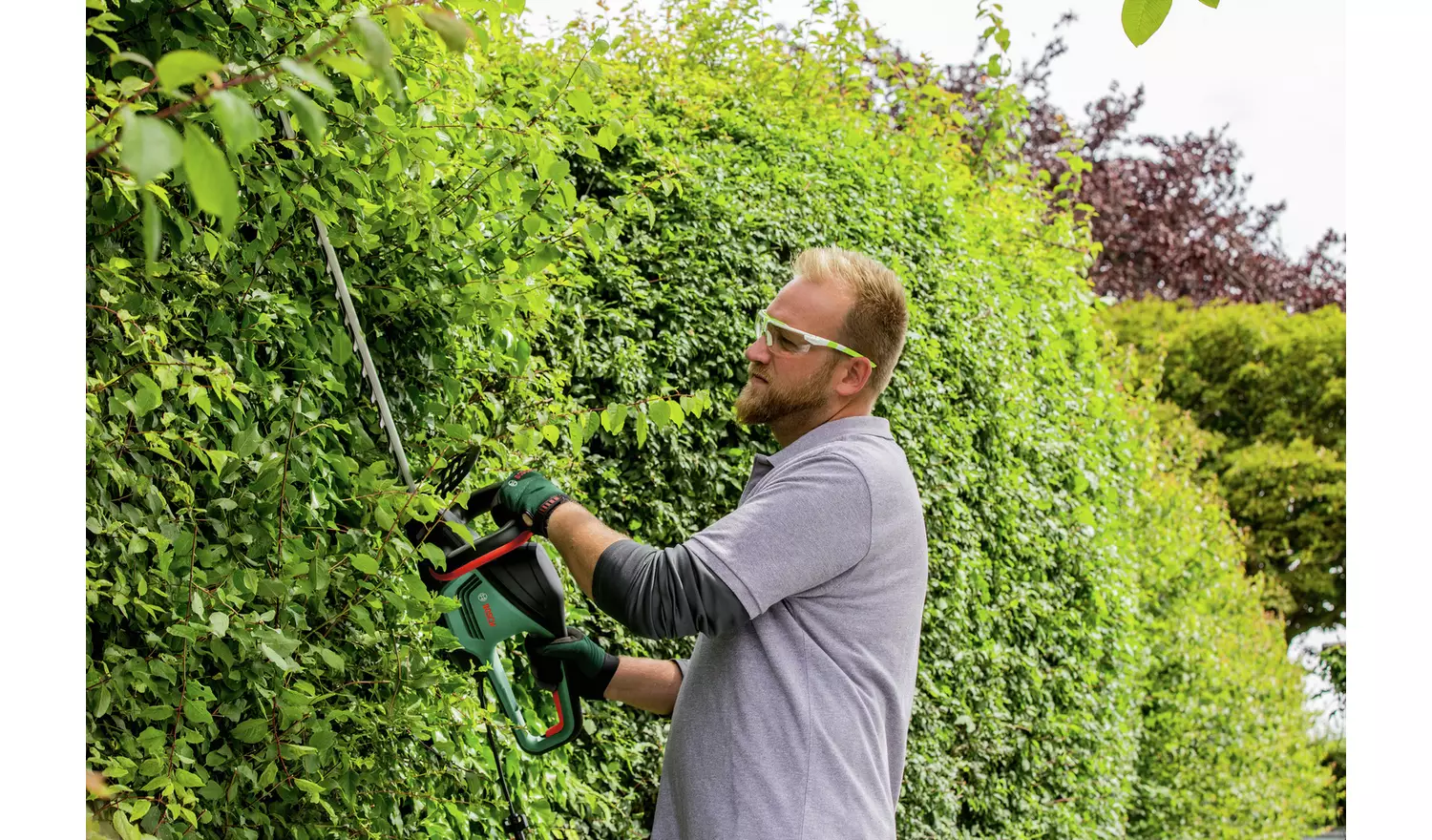 Bosch Advanced Hedge Cut 65 Hedge Trimmer