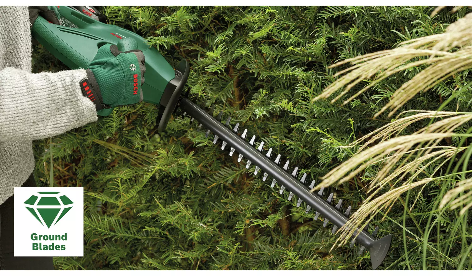 Bosch Easy Hedge Cut 45cm Cordless Hedge Trimmer