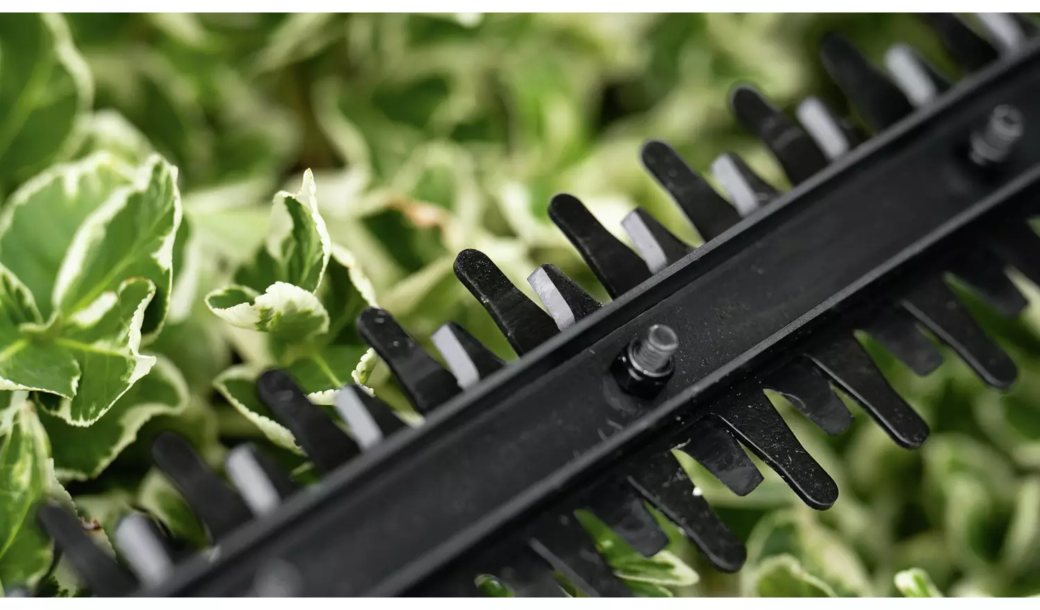 Bosch 44cm Cordless Hedge Trimmer - 18V