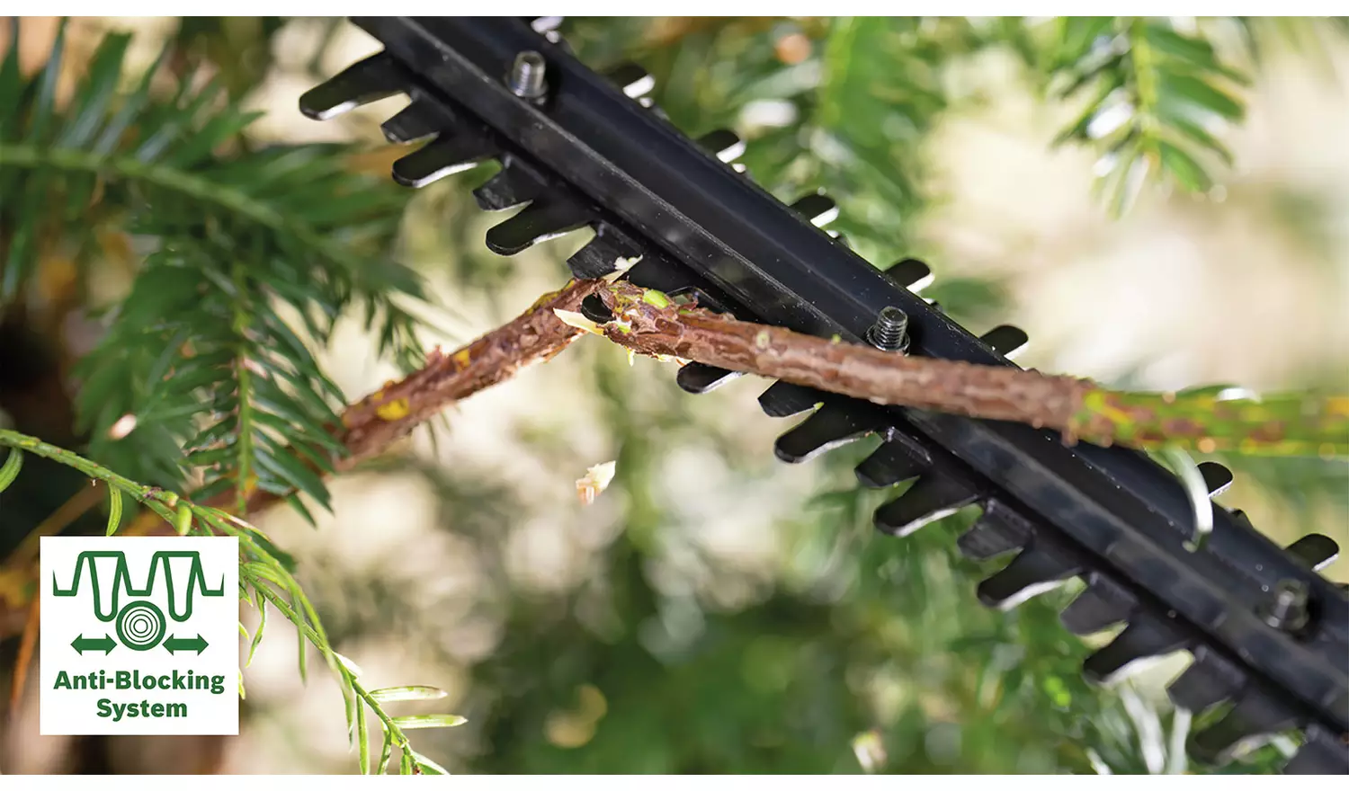 Bosch 44cm Cordless Hedge Trimmer - 18V